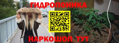 тгк Новокубанск