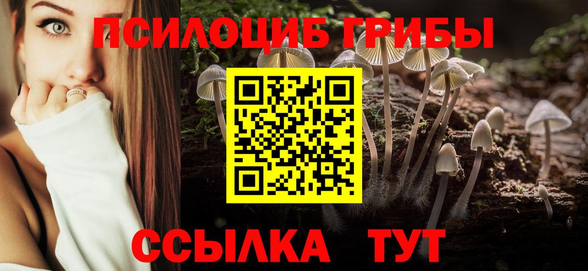 Псилоцибиновые грибы мухоморы Сургут