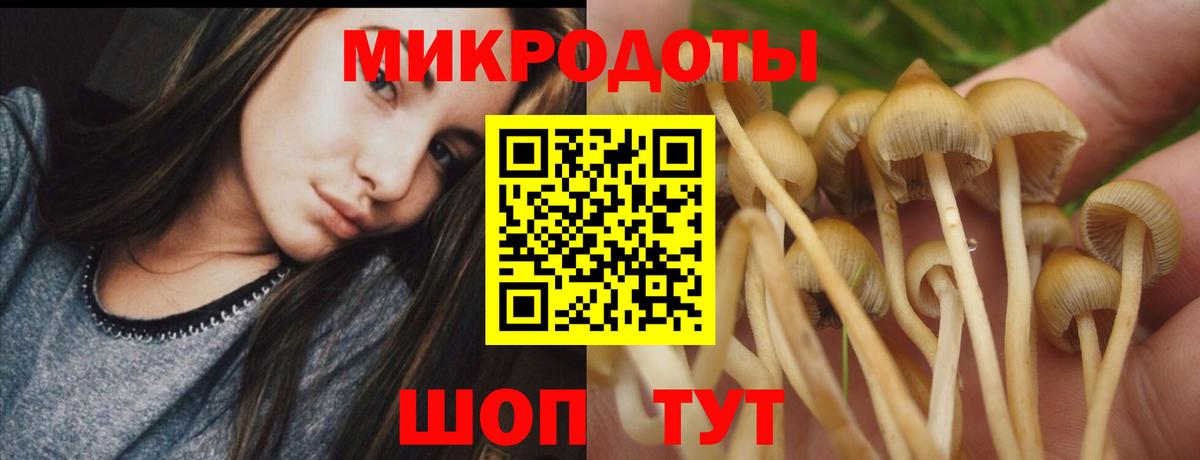 Галлюциногенные грибы GOLDEN TEACHER  Вход с VPN  Сургут  Галлюциногенные грибы Psilocybine cubensis 